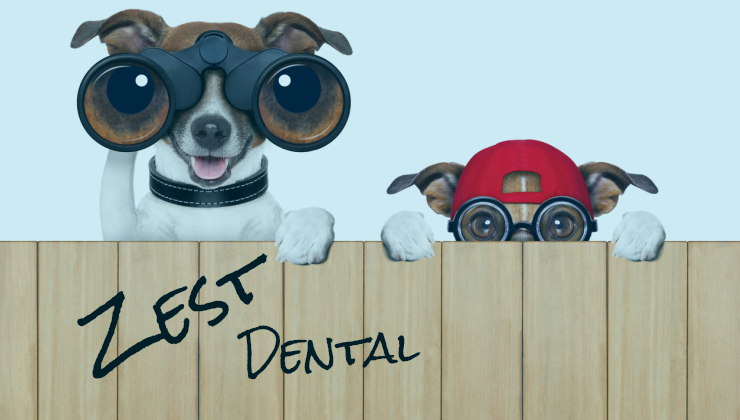 ZEST Dental Recruitment - Search & Advertise Dentist Jobs